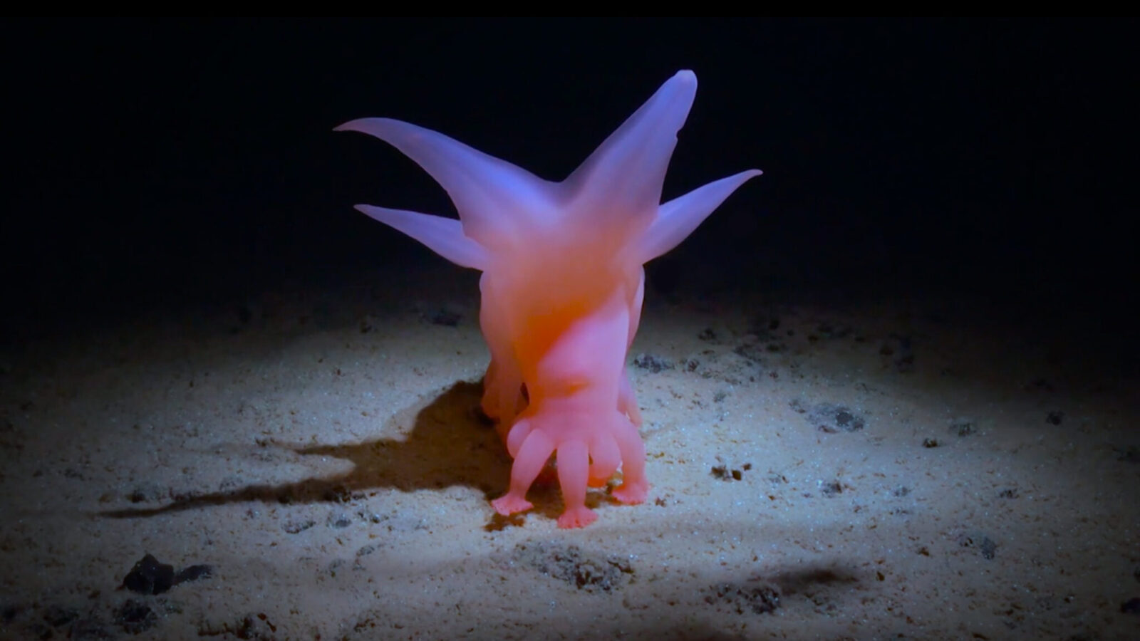 Filmstill: HOW DEEP IS YOUR LOVE