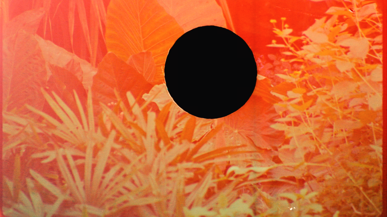 Filmstill: Expanded Cinema & Klangperformance