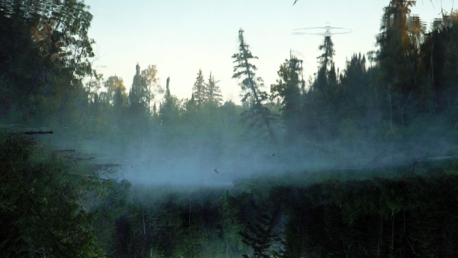 Filmstill: WHILE THE GREEN GRASS GROWS: A DIARY IN SEVEN PARTS